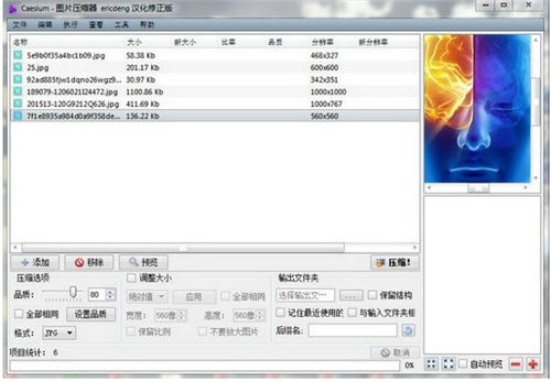 Caesium(开源图片压缩工具) Caesium(开源图片压缩工具)