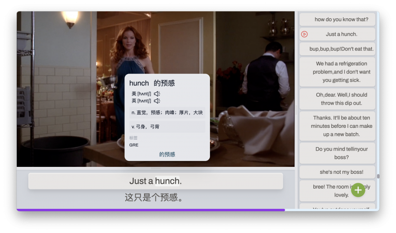 DashPlayer(专为英语学习打造的视频播放器)