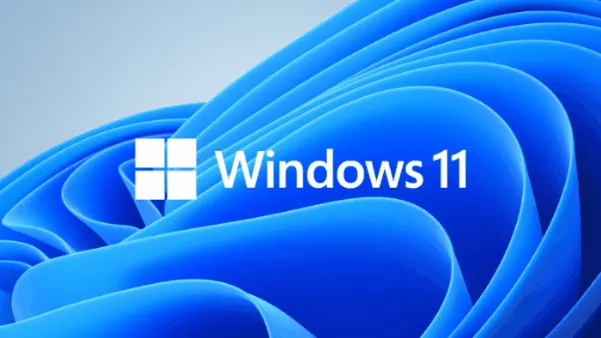 Win11屏幕亮度调节失灵的几种常见原因及解决方法