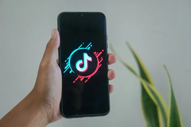 抖音达人合作码是什么意思?抖音达人合作码怎么开通? 抖音达人合作码是什么意思?抖音达人合作码怎么开通?