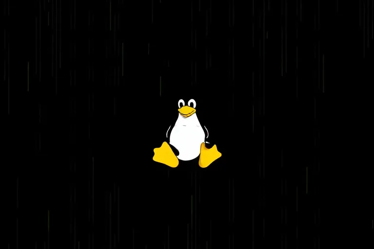 Linux常用命令之df命令使用方法详解