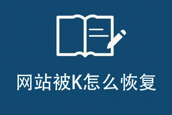 网站被K恢复记录：28天申诉全过程复盘