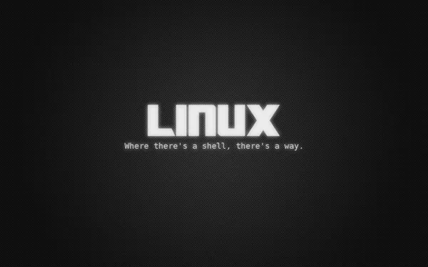 Linux常用命令之rm使用方法详解