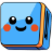 Digimirror