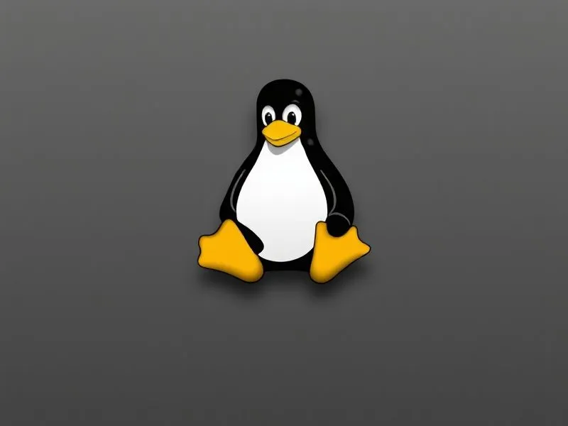 Linux 网络配置文件详解：netmask 设置实战操作指南