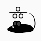Lan Mouse